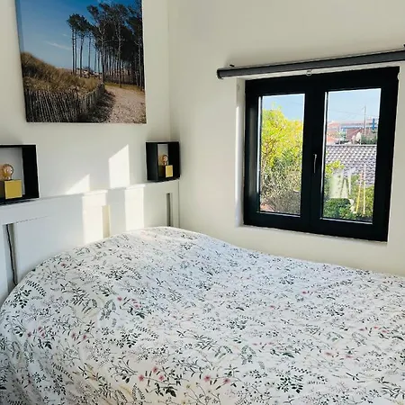 La Marguerite Apartment Lacanau